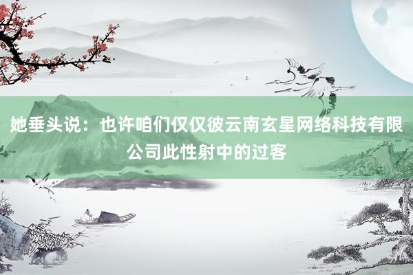 她垂头说：也许咱们仅仅彼云南玄星网络科技有限公司此性射中的过客
