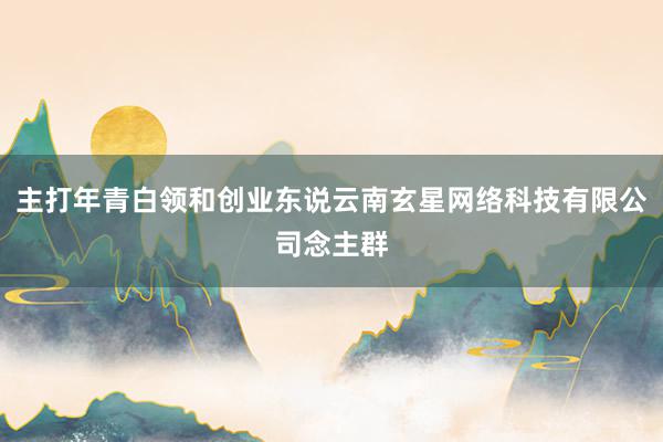 主打年青白领和创业东说云南玄星网络科技有限公司念主群
