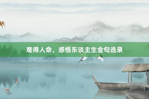 难得人命，感悟东谈主生金句选录